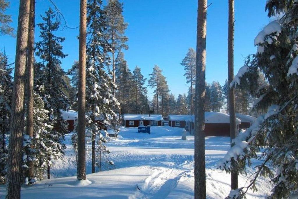Ekokatti Cottages Vuokatti Eksteriør billede